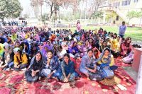 Holi Celebration